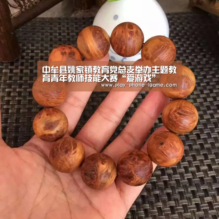 中牟县姚家镇教育党总支举办主题教育青年教