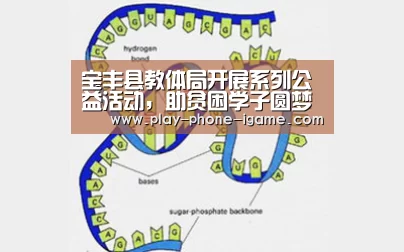 爱游戏