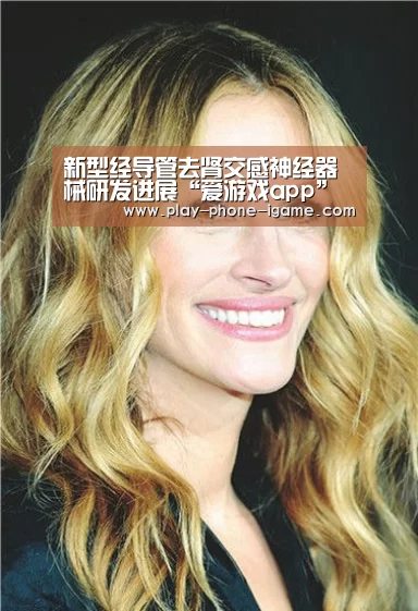 新型经导管去肾交感神经器械研发进展“爱游戏app”(图3) 爱游戏app