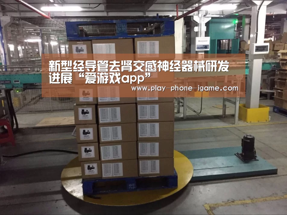 新型经导管去肾交感神经器械研发进展“爱游戏app”(图1) 爱游戏官网