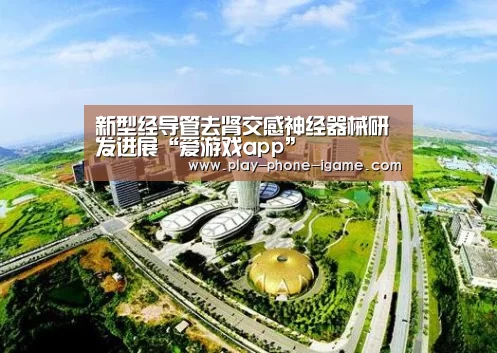 新型经导管去肾交感神经器械研发进展“爱游戏app”(图2) 爱游戏app