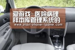 爱游戏