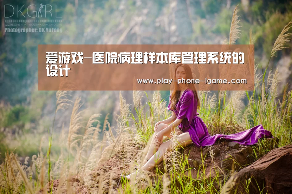 爱游戏