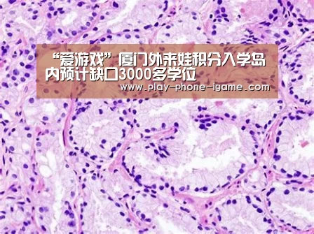 “爱游戏”厦门外来娃积分入学岛内预计缺口3000多学位(图4) 爱游戏官网
