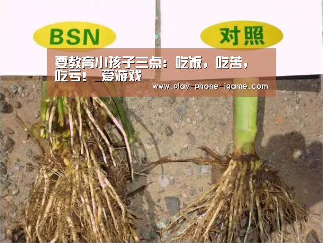 要教育小孩子三点:吃饭,吃苦,吃亏!_爱游戏(图1) 爱游戏官网