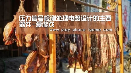 压力信号检测处理电路设计的主要器件-爱游戏(图1) 爱游戏