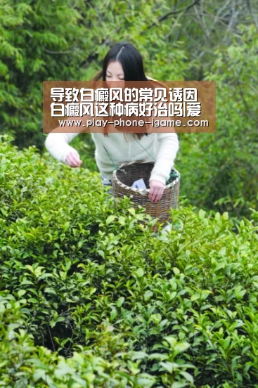 导致白癜风的常见诱因白癜风这种病好治吗|爱游戏(图2) 爱游戏app