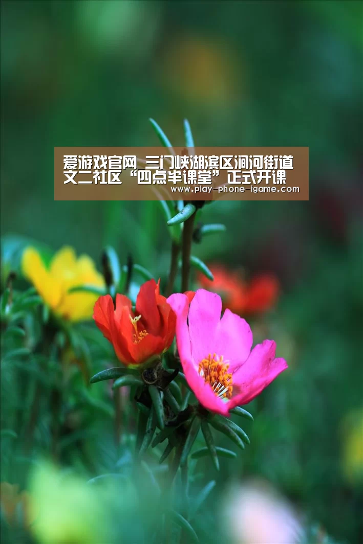 爱游戏官网_三门峡湖滨区涧河街道文二社区“四点半课堂”正式开课(图2) 爱游戏